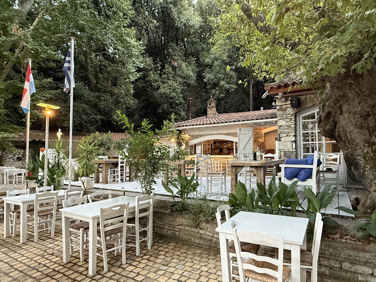 Ithaki Authentic Aegean Cuisine-4